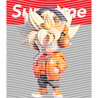 Brand Catalog-ZX 1038